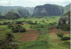 mogotes vinales