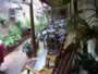 Foto 4 del Hostal