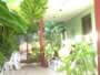 Foto 3 del Hostal