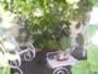 Foto 3 del Hostal