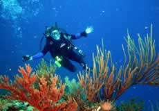 Playa cubana - buceo