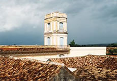 museo trinidad